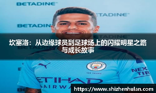 米兰体育官网