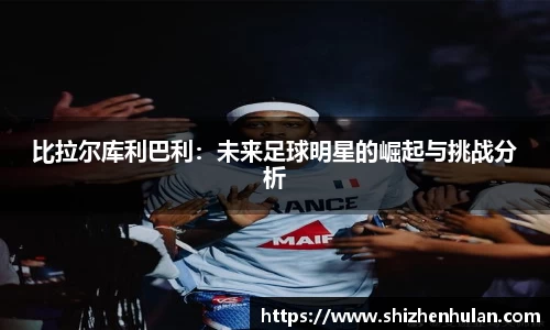 米兰体育官网