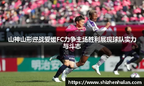 米兰体育官网