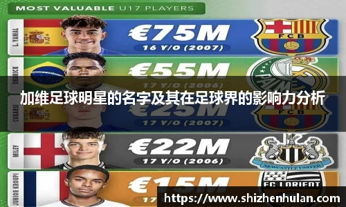 米兰体育官网